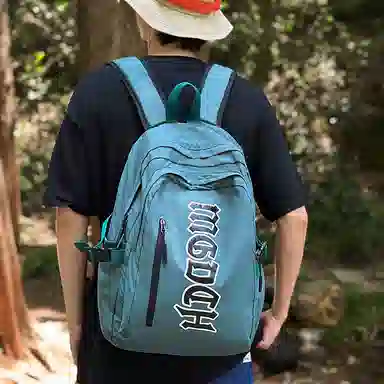 GOBLIN SHARKS 1759 ins