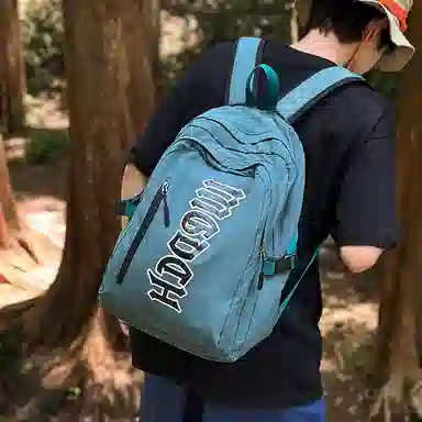 GOBLIN SHARKS 1759 ins