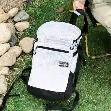 GOBLIN SHARKS 1759 ins