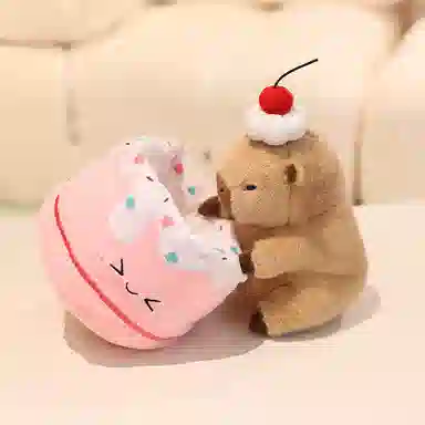 20CM