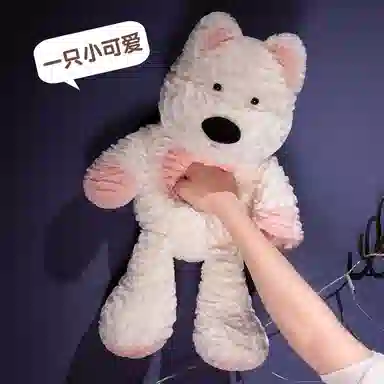 55cm