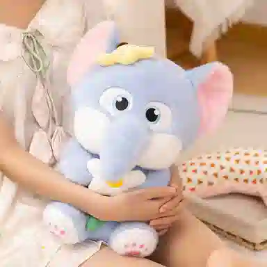 25cm35cm