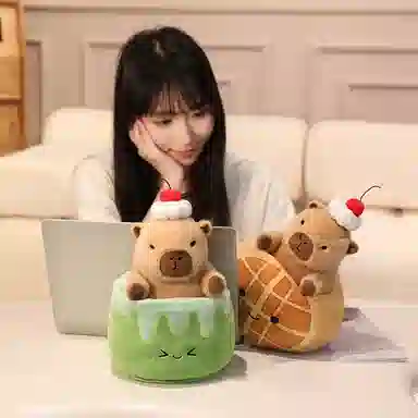 20CM