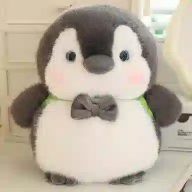25cm35cm