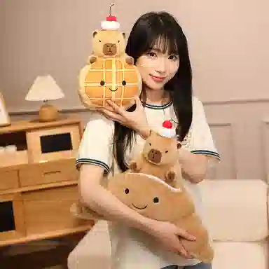 20CM