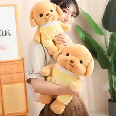 25cm30cm40cm