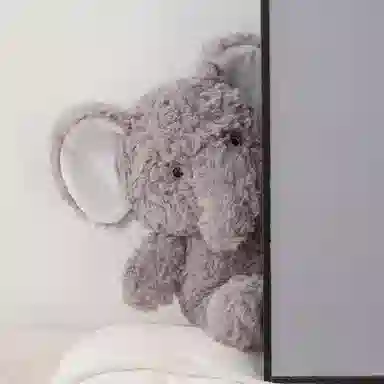 28cm42cm