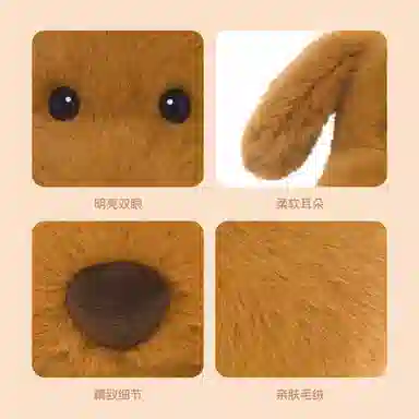 25cm