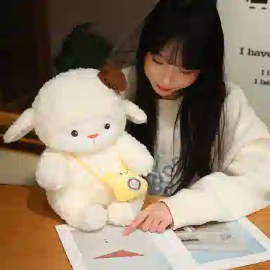 25cm35cm45cm
