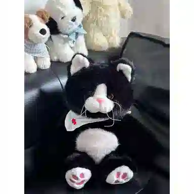 25cm35cm