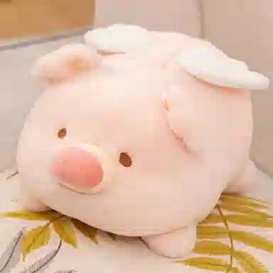 20cm