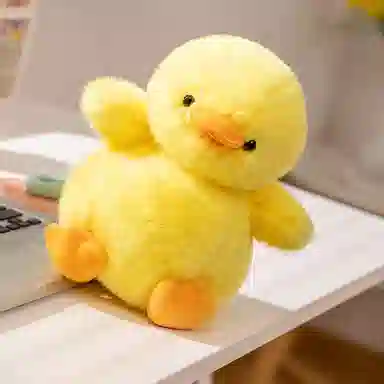 25cm35cm