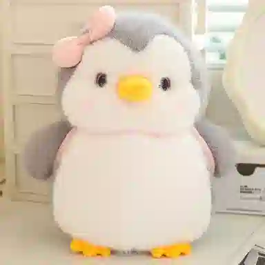 25cm35cm