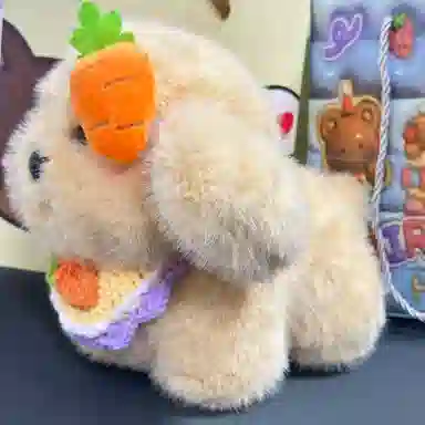 25cm