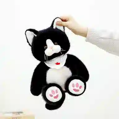 25cm35cm