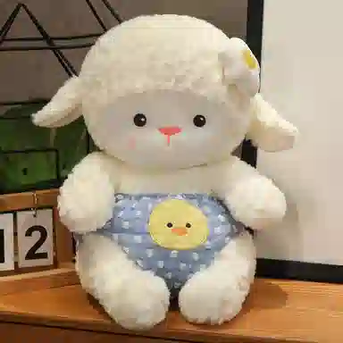 25cm35cm45cm