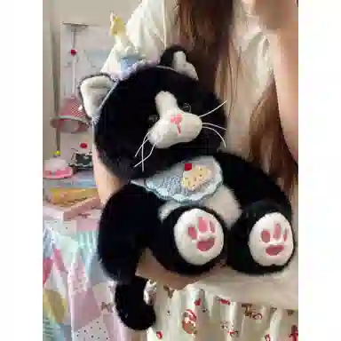 25cm35cm
