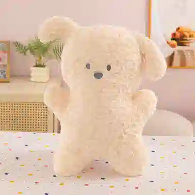 50cm