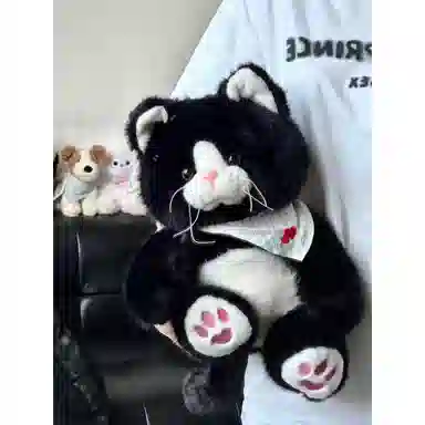 25cm35cm