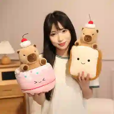 20CM