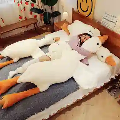 50cm