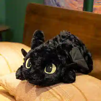 55cm