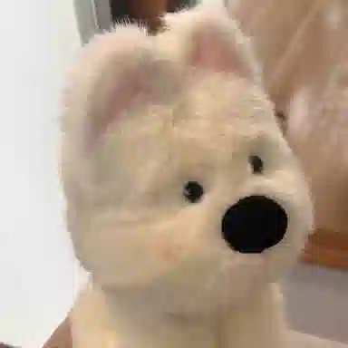 25cm35cm45cm65CM
