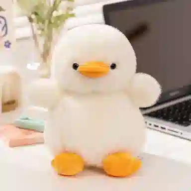 25cm35cm