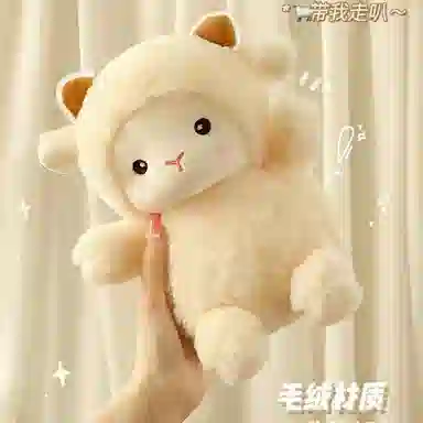 23cm