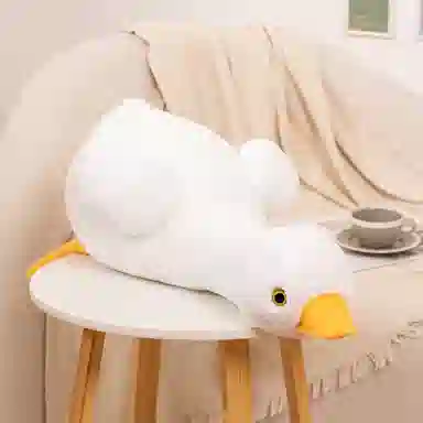 50cm70cm