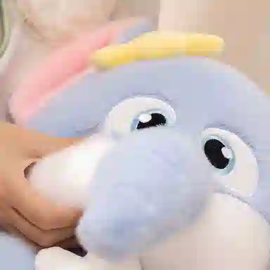 25cm35cm