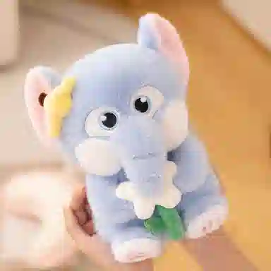 25cm35cm