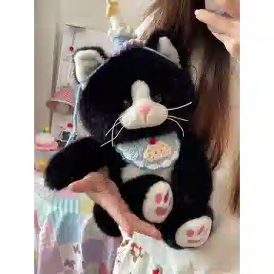 25cm35cm