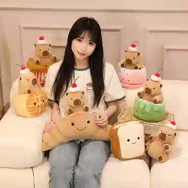 20CM