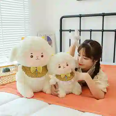 23cm30cm45cm60cm