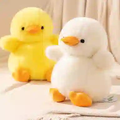 25cm35cm