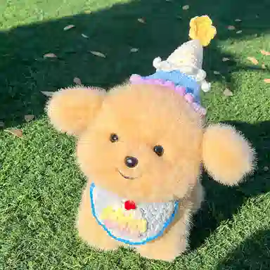 25cm