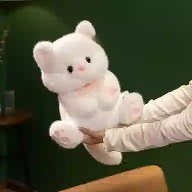 21cm32cm