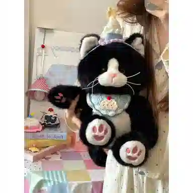 25cm35cm