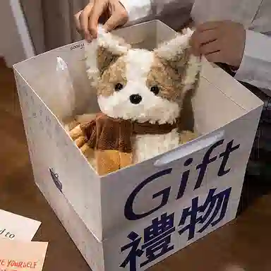 25cm35cm