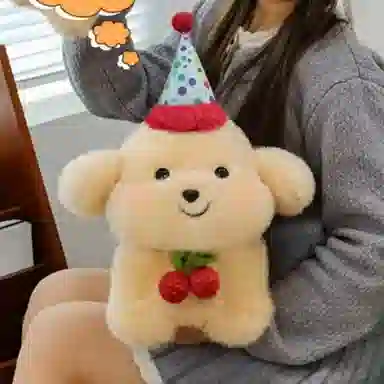 25cm