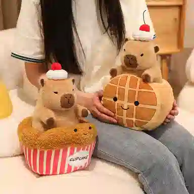 20CM