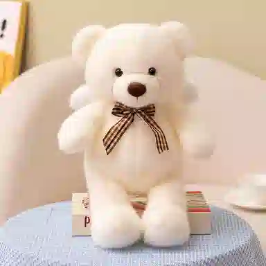 35cm45cm