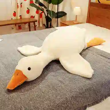 50cm