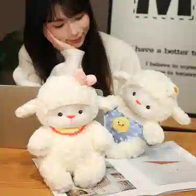 25cm35cm45cm