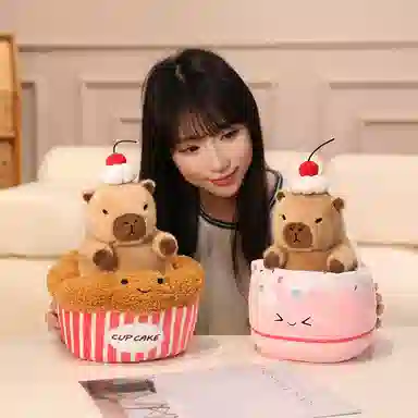 20CM