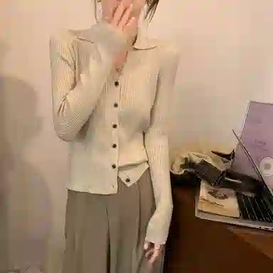 思蓓儿 纯色修身适中长袖针织衫 女款