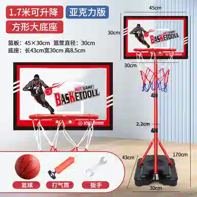 乐智由我 篮球架 可升降移动式家用 投篮框室内扣篮板 玩具