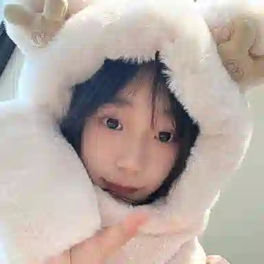 FireMonkey