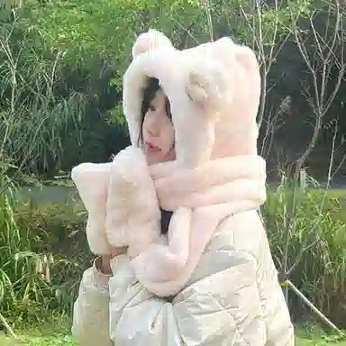 FireMonkey